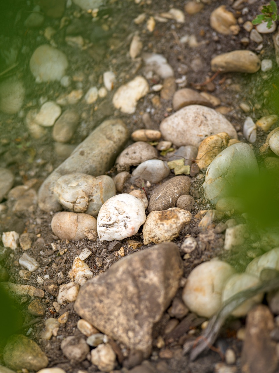 Sols de graves du Château Belgrave, grand cru classé 1855